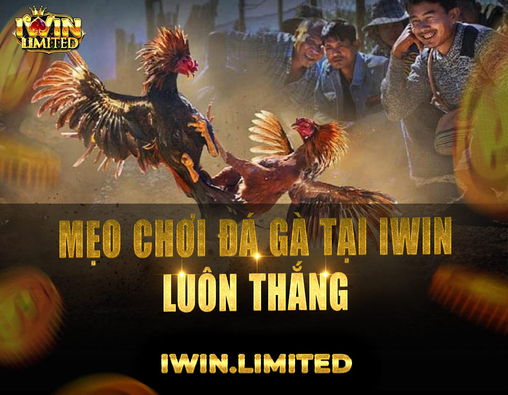 Chia sẻ top mẹo chơi đá gà tại iWin luôn thắng từ dân chuyên