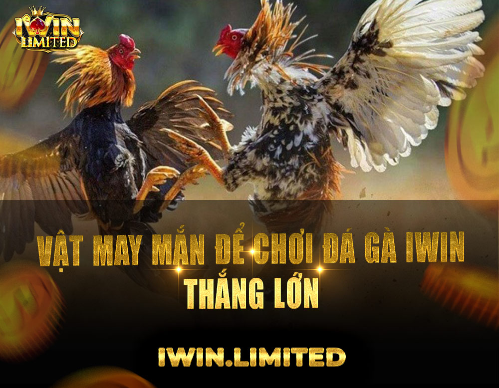 Giới thiệu top 4 vật may mắn để chơi đá gà iWin Club thắng lớn